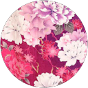 H K profile picture