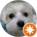 キョロくん燦々 profile picture
