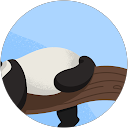 GP profile picture