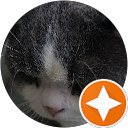 猫柳ネコくん profile picture