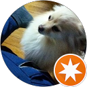 うしださとし profile picture