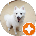 れおれお profile picture