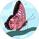 vell profile picture